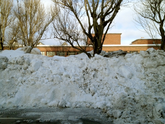 Last week this pile was snow. By the end of this week it will be slush. Yuck.